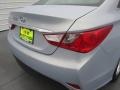 Iridescent Silver Blue Pearl - Sonata GLS Photo No. 12