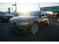 2009 Meteor Grey Pearl Effect Audi A4 2.0T quattro Avant #102190043