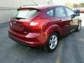 Ruby Red - Focus SE Hatchback Photo No. 6