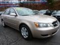 Golden Beige - Sonata GLS Photo No. 3