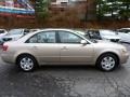 Golden Beige - Sonata GLS Photo No. 13