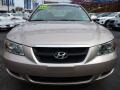 Golden Beige - Sonata GLS Photo No. 18