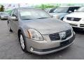 2004 Spirited Bronze Nissan Maxima 3.5 SE  photo #3