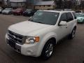 2010 White Suede Ford Escape Limited V6 4WD  photo #1