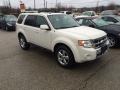 2010 White Suede Ford Escape Limited V6 4WD  photo #29