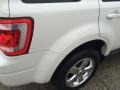 2010 White Suede Ford Escape Limited V6 4WD  photo #36