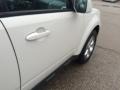 2010 White Suede Ford Escape Limited V6 4WD  photo #38