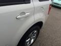 2010 White Suede Ford Escape Limited V6 4WD  photo #43