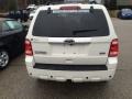 2010 White Suede Ford Escape Limited V6 4WD  photo #44