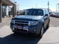 Steel Blue Metallic - Escape Limited V6 4WD Photo No. 10