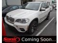 Alpine White - X5 xDrive35d Photo No. 1