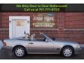 1995 Smoke Silver Metallic Mercedes-Benz SL 500 Roadster  photo #7