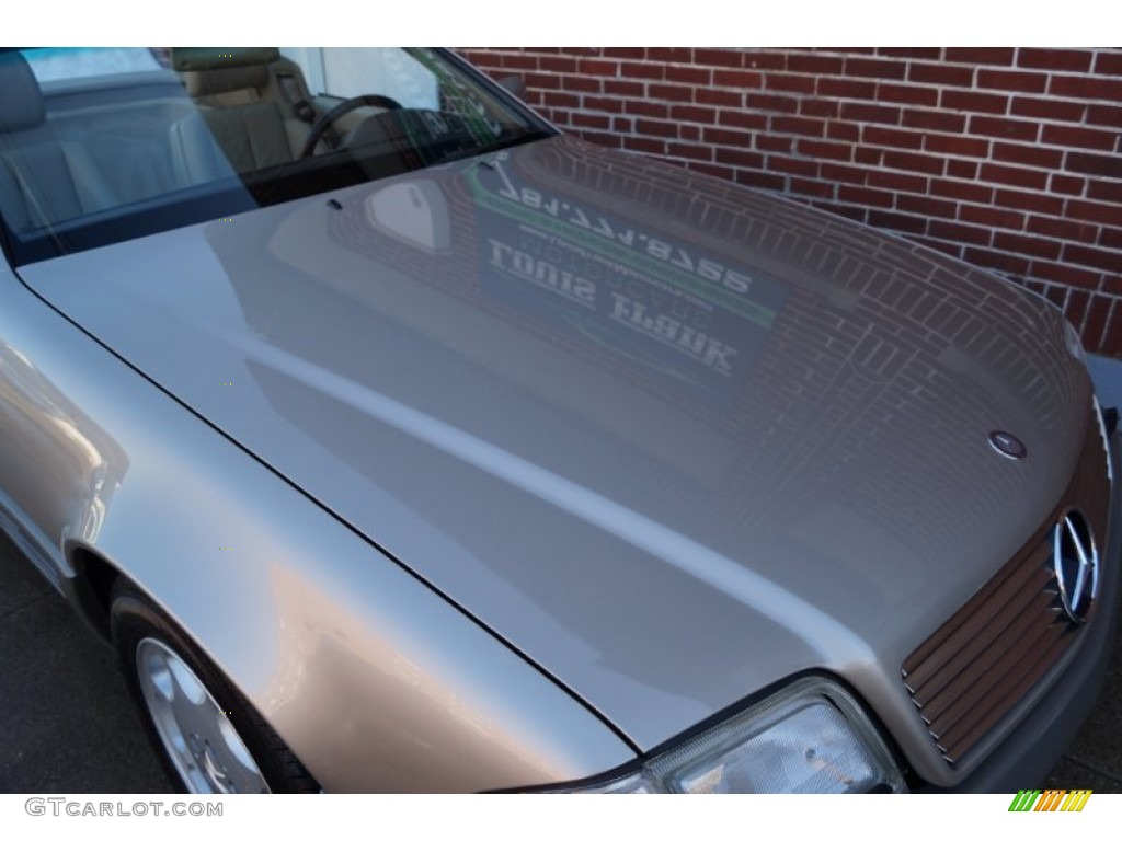 1995 SL 500 Roadster - Smoke Silver Metallic / Parchment Beige photo #38