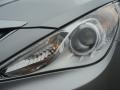 2014 Radiant Silver Hyundai Sonata GLS  photo #30