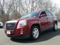 Merlot Jewel Metallic - Terrain SLE Photo No. 1