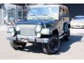 1998 Moss Green Pearl Jeep Wrangler Sahara 4x4  photo #3