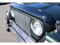 1998 Moss Green Pearl Jeep Wrangler Sahara 4x4  photo #27