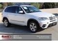 Alpine White - X5 xDrive35d Photo No. 1