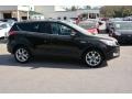 2014 Tuxedo Black Ford Escape Titanium 1.6L EcoBoost  photo #2