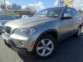 2008 Platinum Bronze Metallic BMW X5 3.0si #102308392