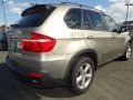 2008 Platinum Bronze Metallic BMW X5 3.0si  photo #4
