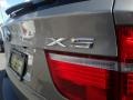 2008 Platinum Bronze Metallic BMW X5 3.0si  photo #35