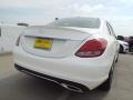 Polar White - C 300 Photo No. 4