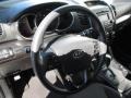 Bright Silver - Sorento LX Photo No. 14