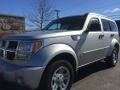 Bright Silver Metallic - Nitro Heat 4x4 Photo No. 3