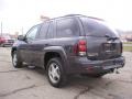 2007 Graphite Metallic Chevrolet TrailBlazer LS 4x4  photo #2