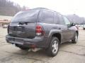 2007 Graphite Metallic Chevrolet TrailBlazer LS 4x4  photo #3