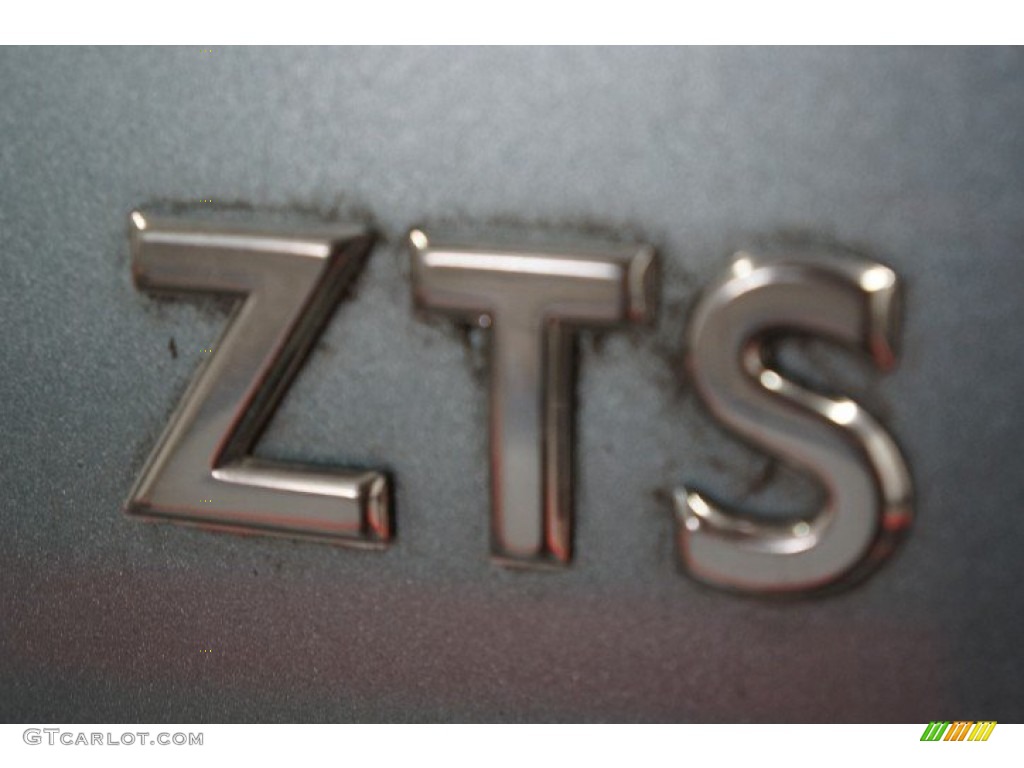 2004 Focus ZTS Sedan - Light Tundra Metallic / Medium Graphite photo #66