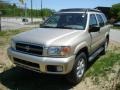 Sahara Beige Metallic - Pathfinder SE 4x4 Photo No. 5