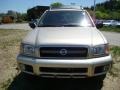 Sahara Beige Metallic - Pathfinder SE 4x4 Photo No. 6