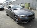 Mineral Grey Metallic - 2 Series 228i xDrive Coupe Photo No. 7