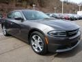 Granite Crystal Metallic - Charger SE Photo No. 9