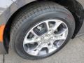 Granite Crystal Metallic - Charger SE Photo No. 10