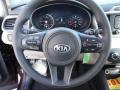 Stone Beige Steering Wheel Photo for 2016 Kia Sorento #102361484