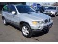 Titanium Silver Metallic - X5 3.0i Photo No. 2