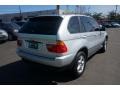 2003 Titanium Silver Metallic BMW X5 3.0i  photo #5