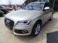 Cuvee Silver Metallic - Q5 2.0 TFSI Premium Plus quattro Photo No. 3