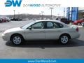 2007 Gold Ash Metallic Ford Taurus SE  photo #1