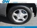 Graystone Metallic - TrailBlazer LS 4x4 Photo No. 5