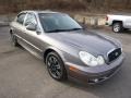 Slate Gray 2002 Hyundai Sonata Standard Sonata Model Exterior