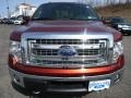 2014 Sunset Ford F150 XLT SuperCab 4x4  photo #6