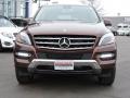Cinnabar Red Metallic - ML 350 4Matic Photo No. 2