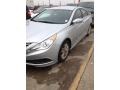 Radiant Silver - Sonata GLS Photo No. 1