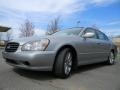 Titanium Silver - Q 45 Photo No. 6