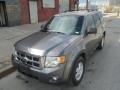 Sterling Grey Metallic - Escape XLT Photo No. 2