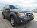 Sterling Grey Metallic - Escape XLT Photo No. 3